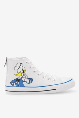Obrázek produktu Plátěnky Donald Duck