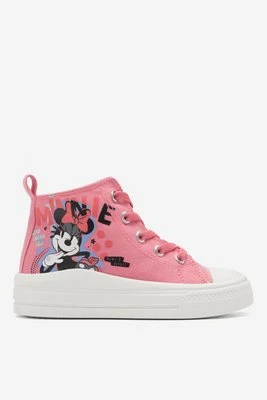 Obrázek produktu Plátěnky Mickey&Friends