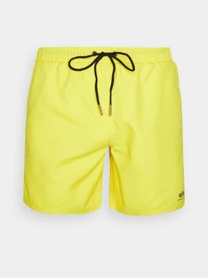 Obrázek produktu Plavecké šortky alpha industries