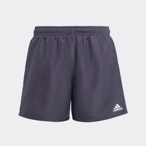 Obrázek produktu Plavecké šortky Classic Badge of Sport Adidas