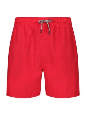 Obrázek produktu Plavecké šortky DKNY