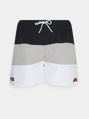Obrázek produktu Plavecké šortky Ellesse