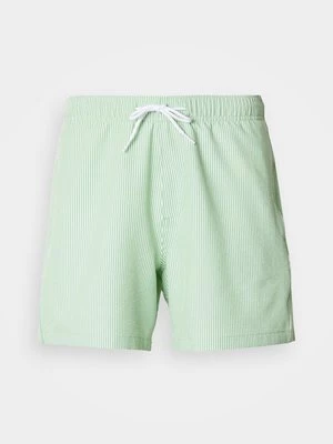 Obrázek produktu Plavecké šortky Hollister Co.