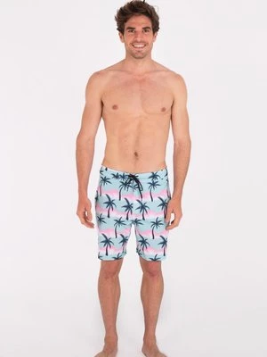 Obrázek produktu Plavecké šortky hurley