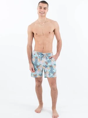 Obrázek produktu Plavecké šortky hurley