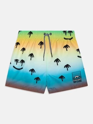 Obrázek produktu Plavecké šortky Molo