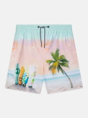 Obrázek produktu Plavecké šortky Molo
