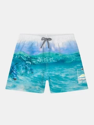 Obrázek produktu Plavecké šortky Molo