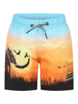Obrázek produktu Plavecké šortky Molo