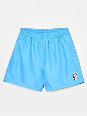 Obrázek produktu Plavecké šortky Nike Performance