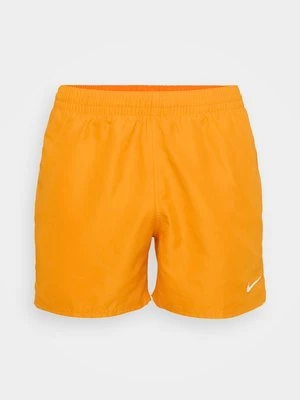 Obrázek produktu Plavecké šortky Nike Swim