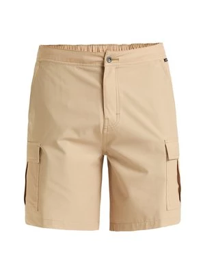 Obrázek produktu Plavecké šortky Quiksilver