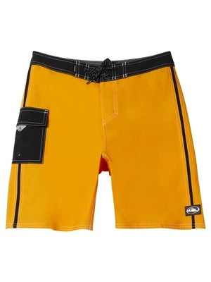 Obrázek produktu Plavecké šortky Quiksilver