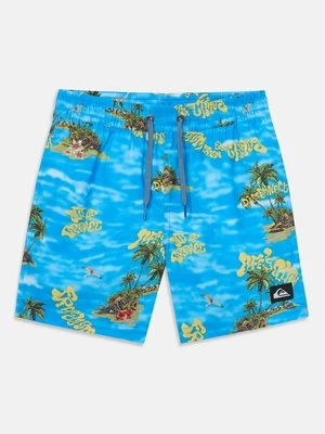 Obrázek produktu Plavecké šortky Quiksilver