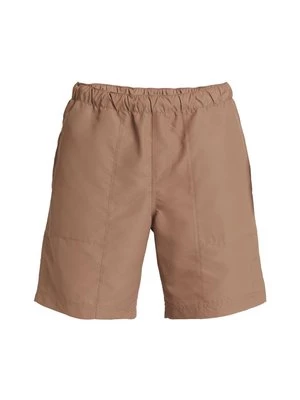 Obrázek produktu Plavecké šortky Quiksilver