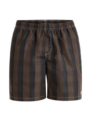 Obrázek produktu Plavecké šortky Quiksilver