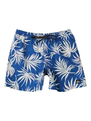 Obrázek produktu Plavecké šortky Quiksilver