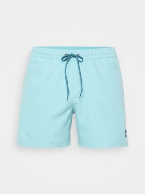 Obrázek produktu Plavecké šortky Quiksilver