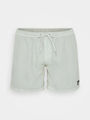 Obrázek produktu Plavecké šortky Quiksilver