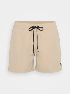 Obrázek produktu Plavecké šortky Quiksilver