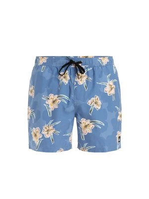 Obrázek produktu Plavecké šortky Quiksilver