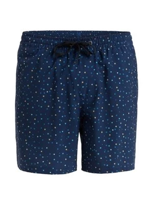 Obrázek produktu Plavecké šortky Quiksilver