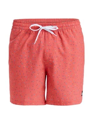 Obrázek produktu Plavecké šortky Quiksilver