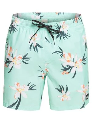 Obrázek produktu Plavecké šortky Quiksilver