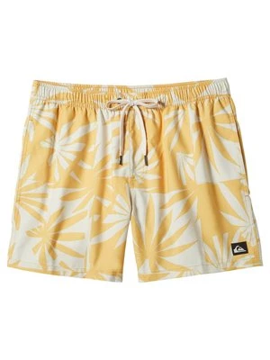 Obrázek produktu Plavecké šortky Quiksilver