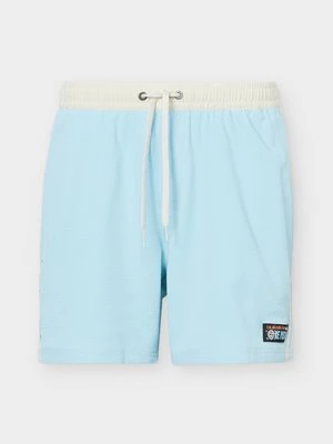 Obrázek produktu Plavecké šortky Quiksilver