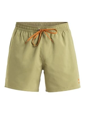 Obrázek produktu Plavecké šortky Quiksilver