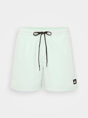 Obrázek produktu Plavecké šortky Quiksilver