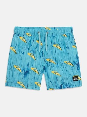 Obrázek produktu Plavecké šortky Quiksilver