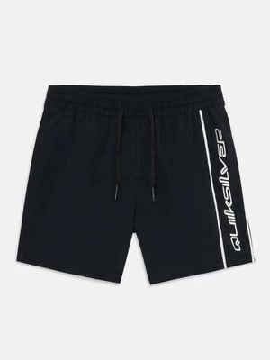 Obrázek produktu Plavecké šortky Quiksilver