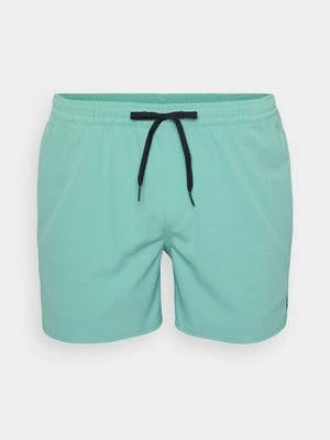 Obrázek produktu Plavecké šortky Quiksilver zelená