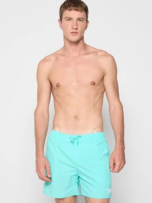 Obrázek produktu Plavecké šortky Speedo
