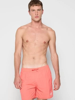 Obrázek produktu Plavecké šortky Speedo