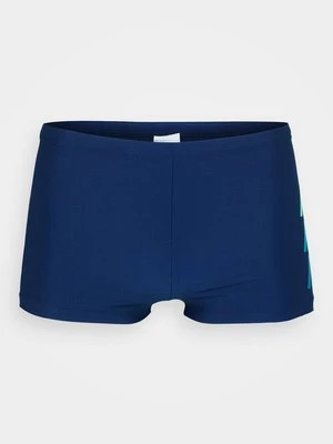 Obrázek produktu Plavkové kalhotky Nike Performance