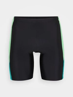 Obrázek produktu Plavkové kalhotky Speedo
