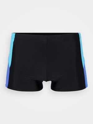 Obrázek produktu Plavkové kalhotky Speedo