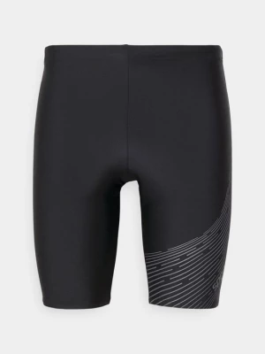 Obrázek produktu Plavkové kalhotky Speedo černá