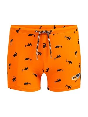 Obrázek produktu Plavkové kalhotky WE Fashion