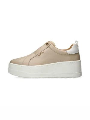 Obrázek produktu Polobotky Carvela
