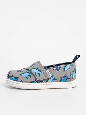 Obrázek produktu Polobotky TOMS