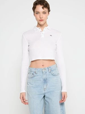 Obrázek produktu Polotričko Dickies