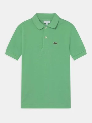 Obrázek produktu Polotričko Lacoste