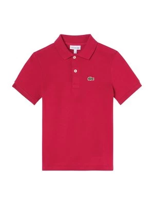 Obrázek produktu Polotričko Lacoste