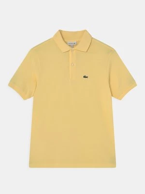 Obrázek produktu Polotričko Lacoste