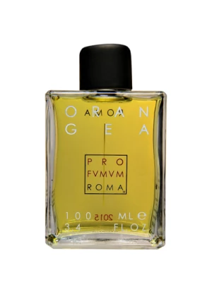 Obrázek produktu Profvmvm Roma Orangea Eau de Parfum 100 ml