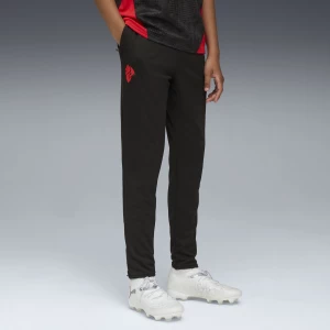 Obrázek produktu PUMA AC Milan Training Pants Youth, Clothing, Black/Red,